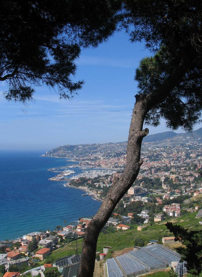 Appartamento Maison Du Port Vieux Sanremo Esterno foto
